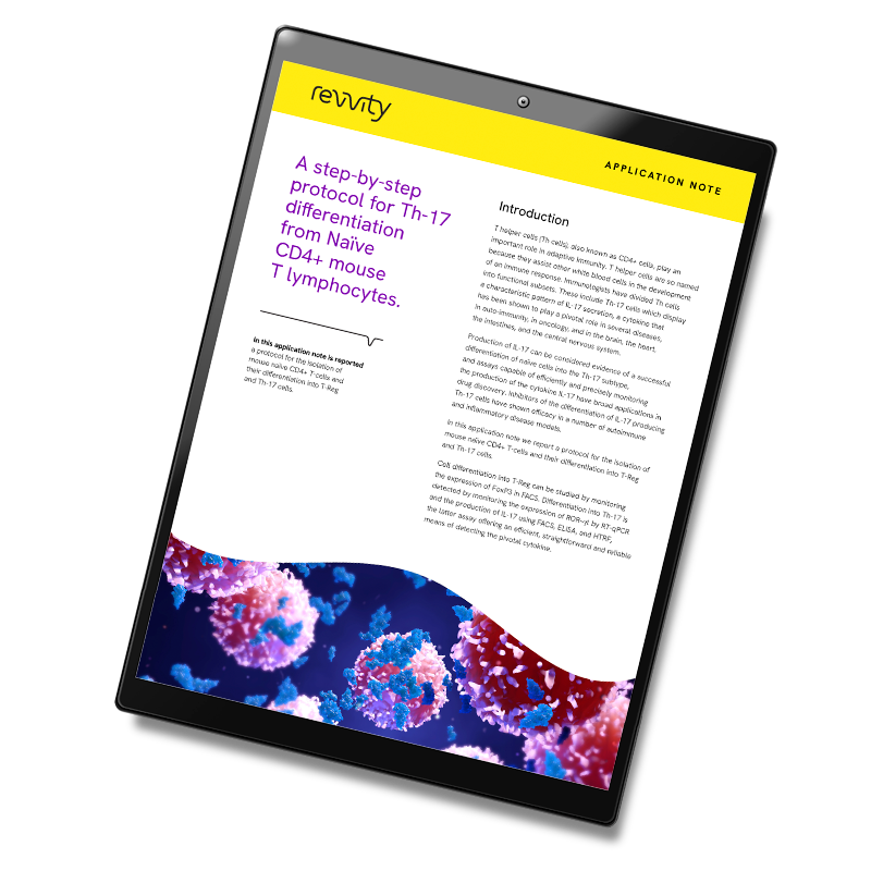 mockup_TN-IL17-differentiation-from-CD4-and-protocol-2