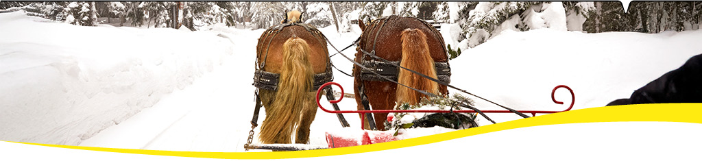 Save 15% off Dharmacon reagents. 