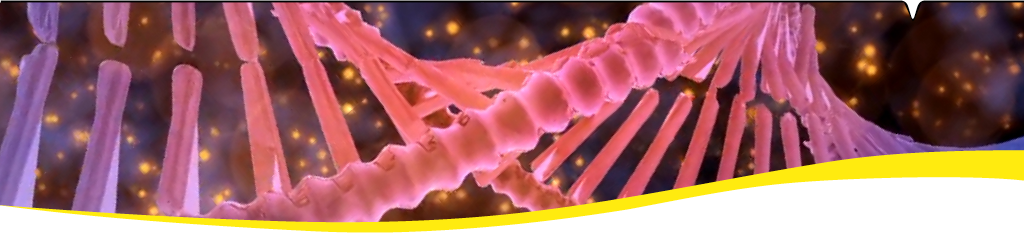 Reveal DDR pathway dependencies with an expertly curated DNA damage response cell panel screen.